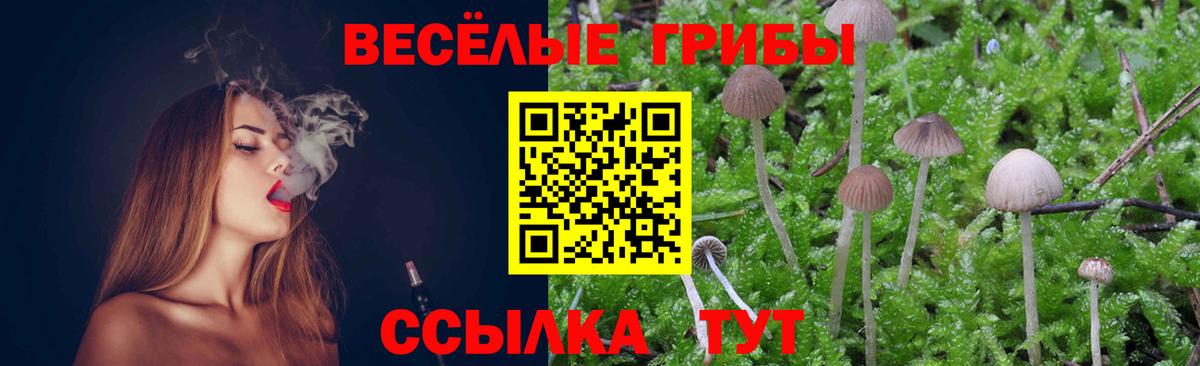 Псилоцибиновые грибы MAGIC MUSHROOMS  Псилоцибиновые грибы Magic Shrooms  Вход с VPN  Владивосток 